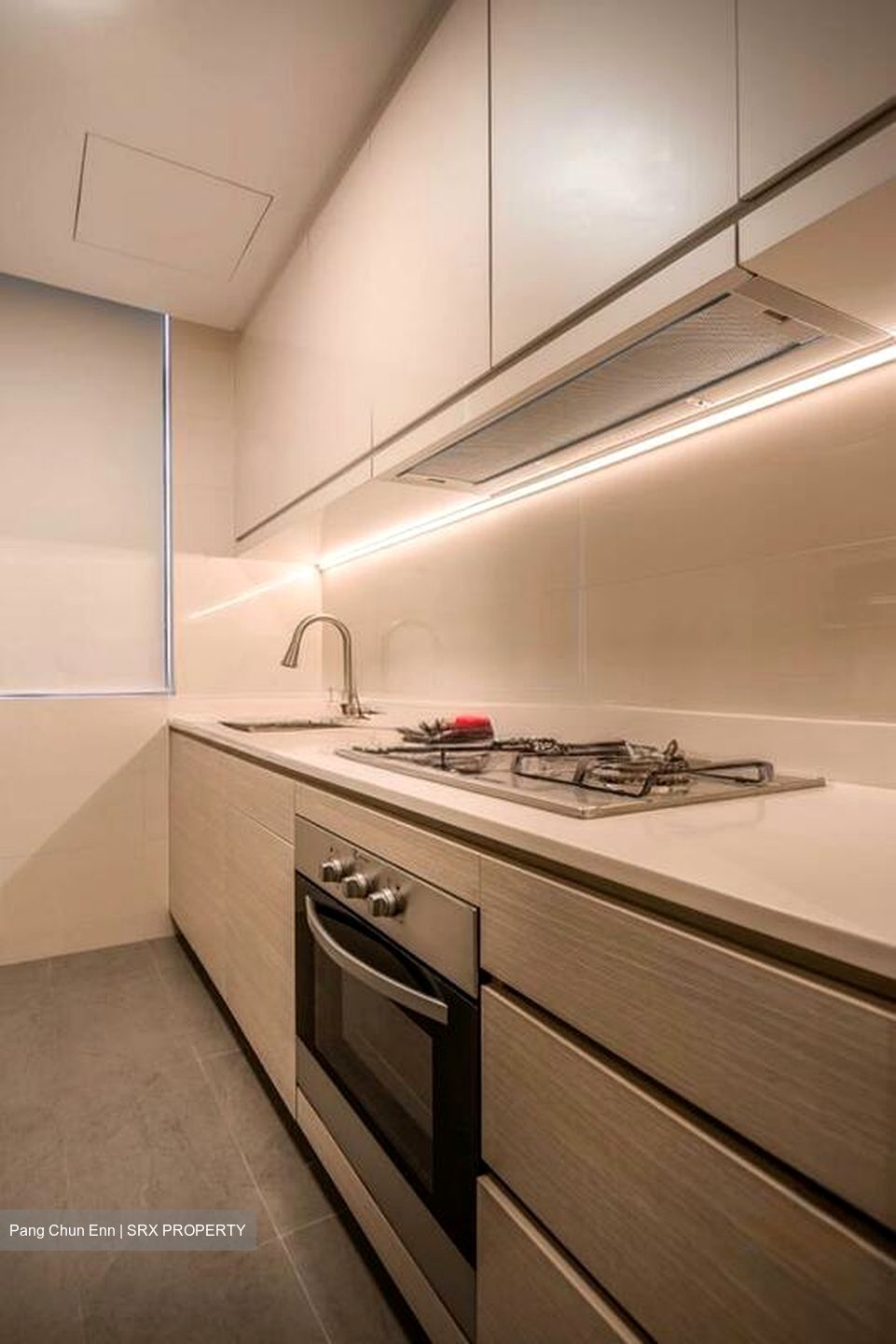 The Skywoods (D23), Condominium #508068151